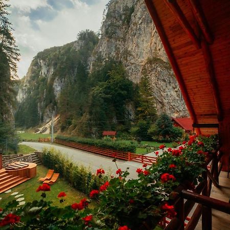 Casa Cheile Dambovicioarei - Cabana 2 Dâmbovicioara Bagian luar foto