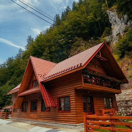 Casa Cheile Dambovicioarei - Cabana 2 Dâmbovicioara Bagian luar foto