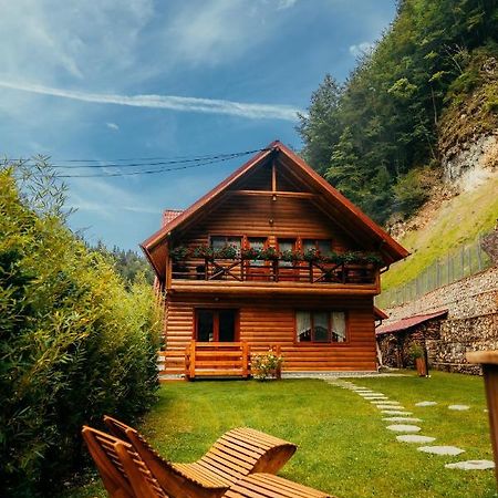 Casa Cheile Dambovicioarei - Cabana 2 Dâmbovicioara Bagian luar foto