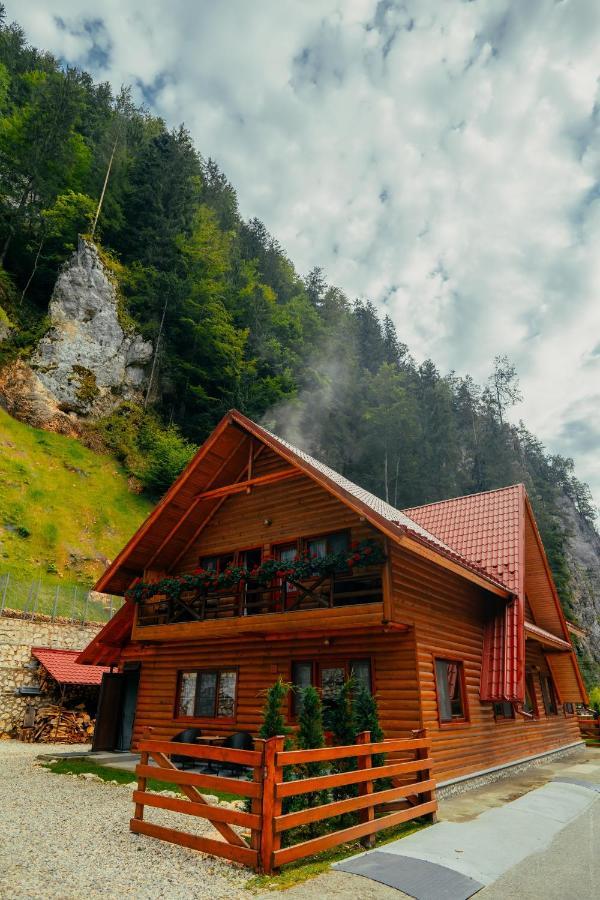 Casa Cheile Dambovicioarei - Cabana 2 Dâmbovicioara Bagian luar foto