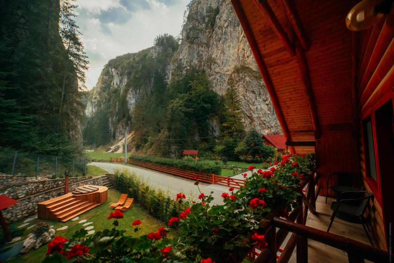 Casa Cheile Dambovicioarei - Cabana 2 Dâmbovicioara Bagian luar foto