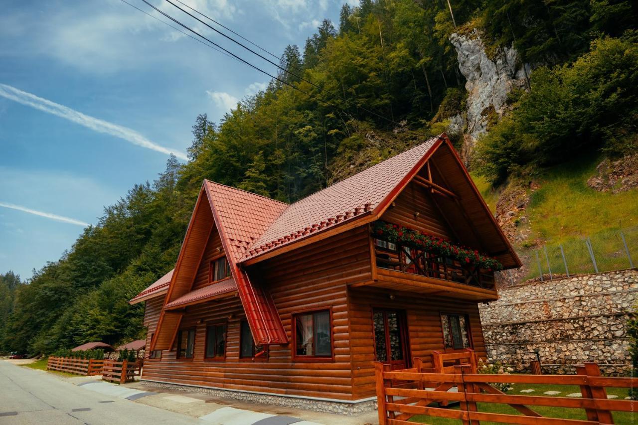 Casa Cheile Dambovicioarei - Cabana 2 Dâmbovicioara Bagian luar foto