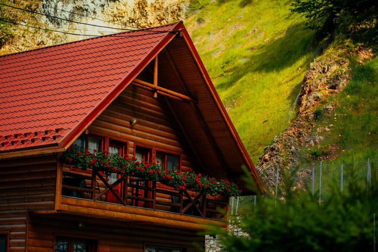 Casa Cheile Dambovicioarei - Cabana 2 Dâmbovicioara Bagian luar foto