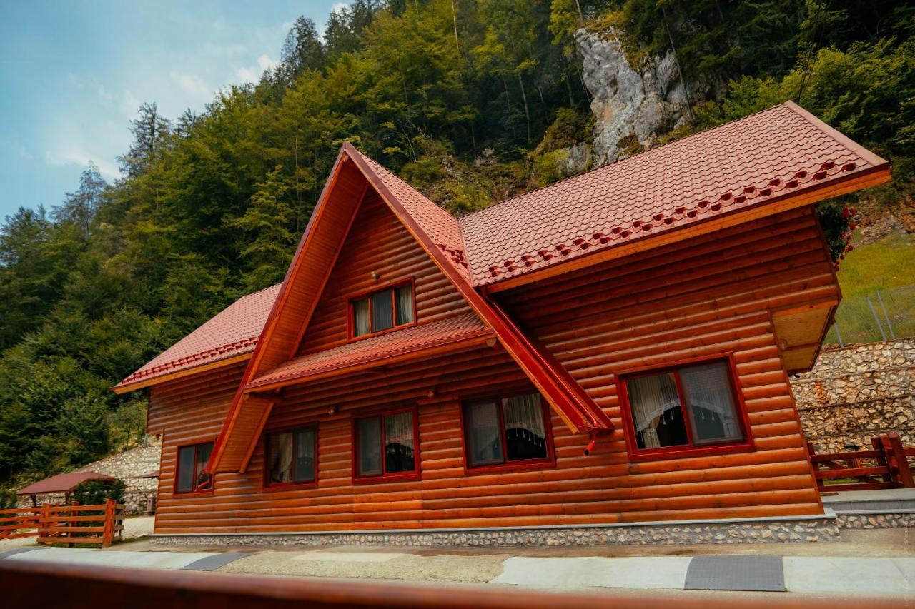 Casa Cheile Dambovicioarei - Cabana 2 Dâmbovicioara Bagian luar foto