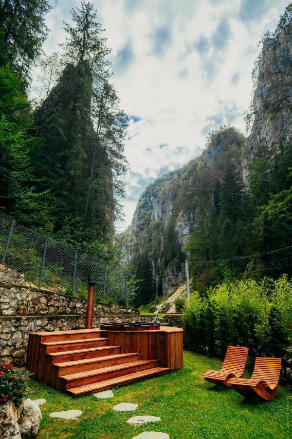Casa Cheile Dambovicioarei - Cabana 2 Dâmbovicioara Bagian luar foto
